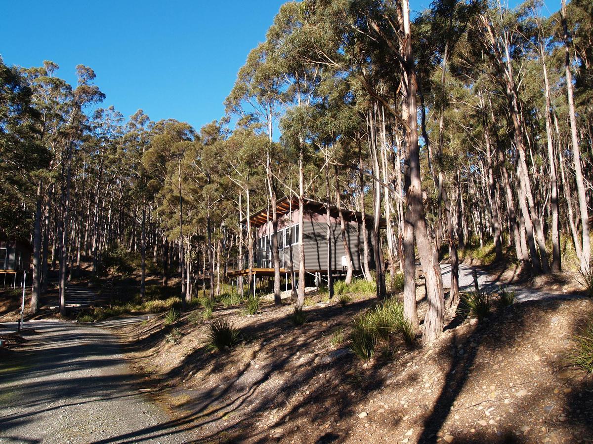 Craggy Peaks Wilderness Cabins Rossarden Exteriér fotografie