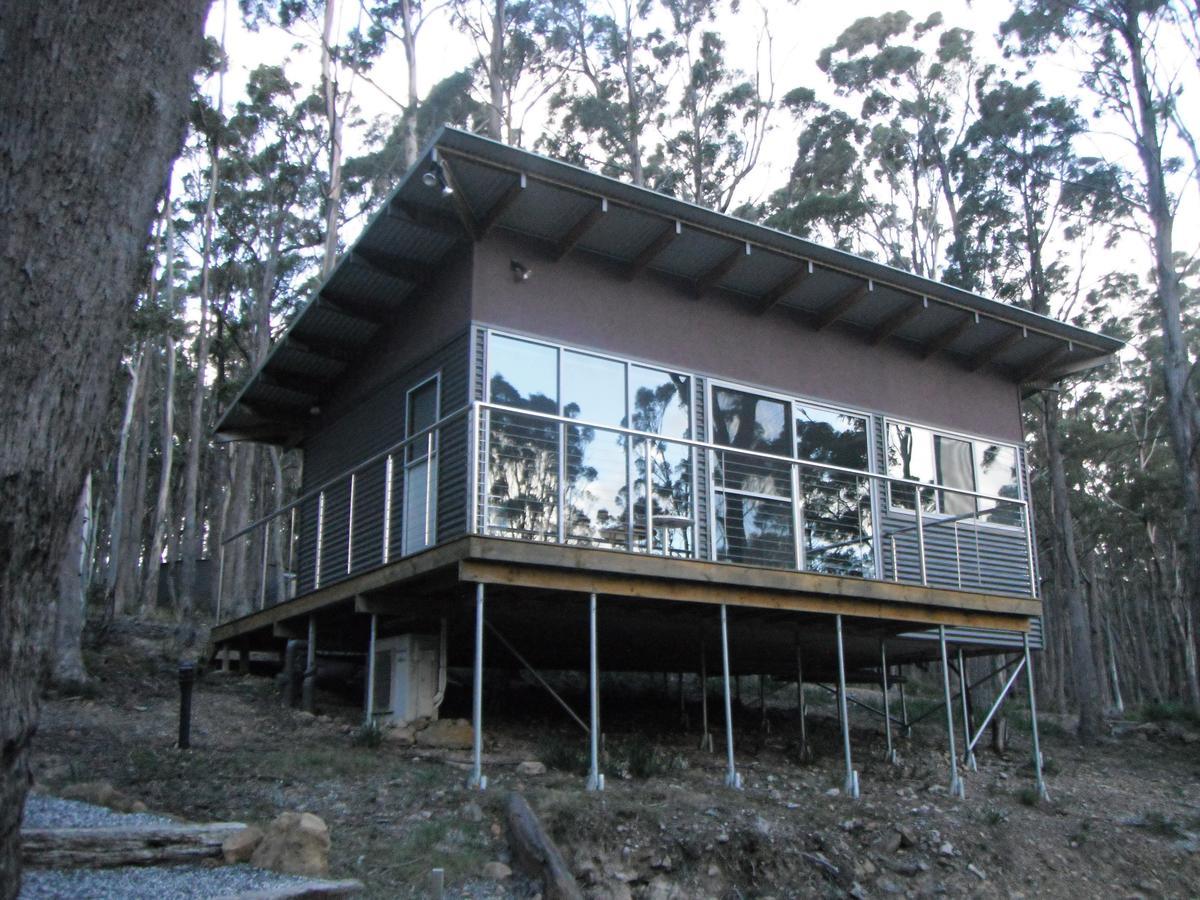 Craggy Peaks Wilderness Cabins Rossarden Exteriér fotografie