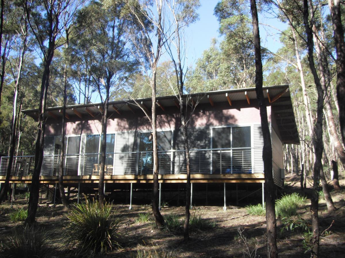 Craggy Peaks Wilderness Cabins Rossarden Exteriér fotografie