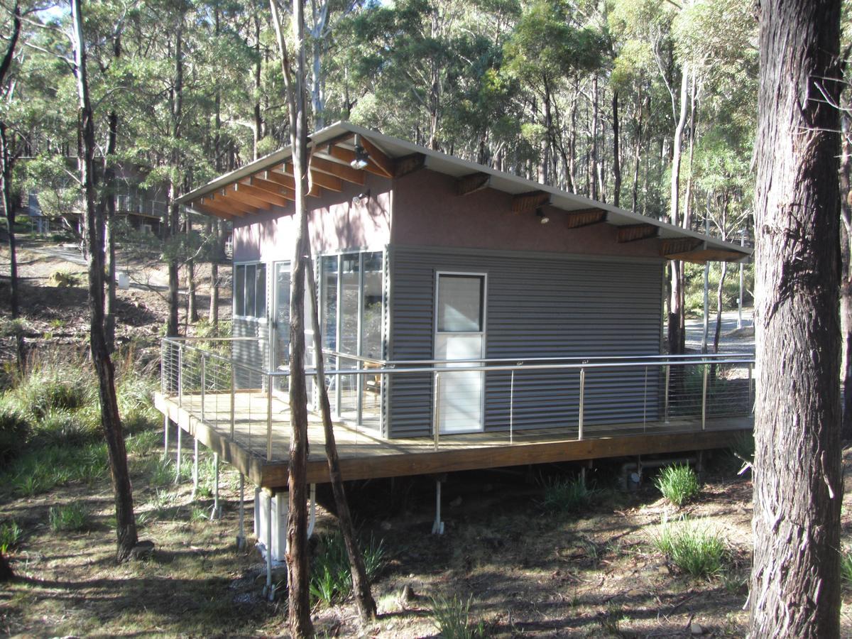 Craggy Peaks Wilderness Cabins Rossarden Exteriér fotografie