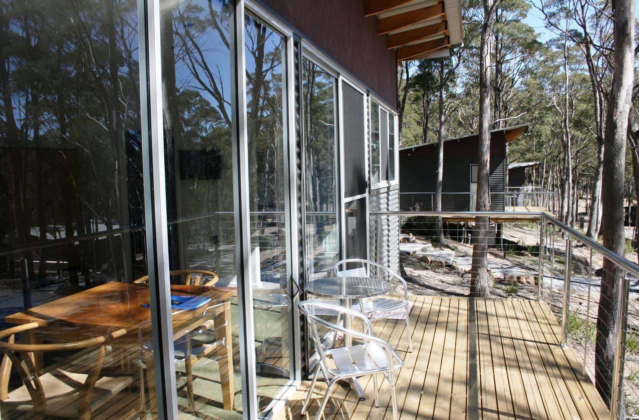 Craggy Peaks Wilderness Cabins Rossarden Exteriér fotografie