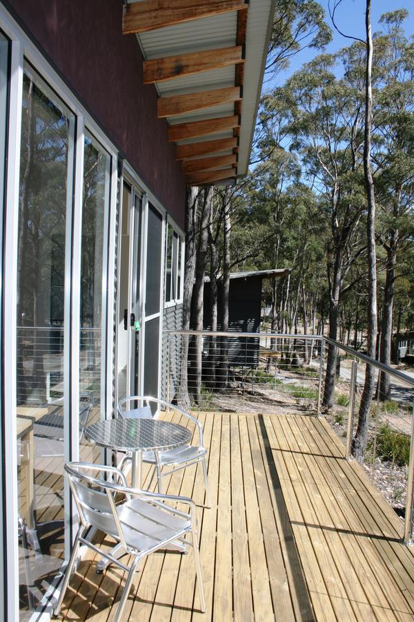 Craggy Peaks Wilderness Cabins Rossarden Exteriér fotografie