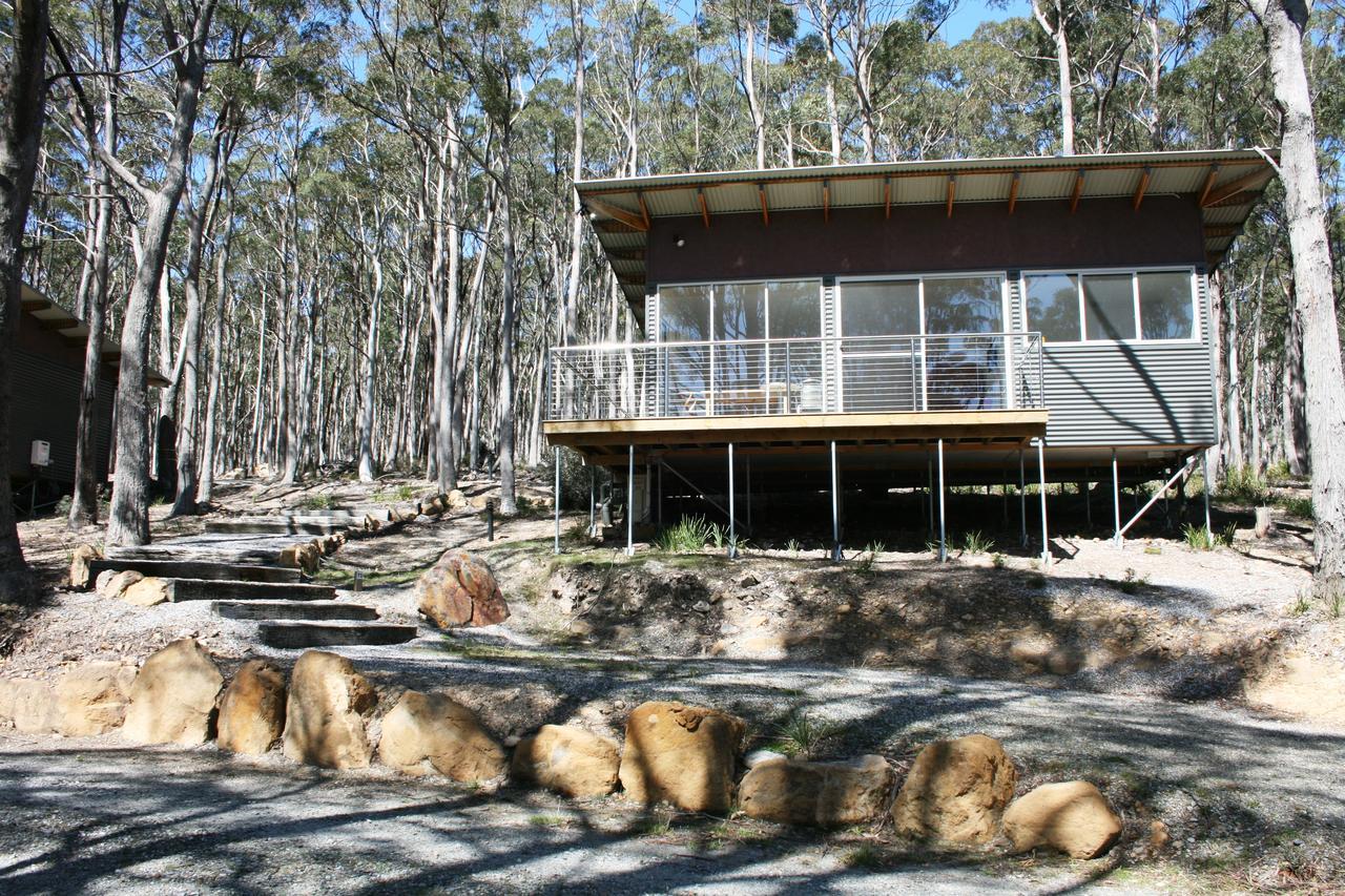 Craggy Peaks Wilderness Cabins Rossarden Exteriér fotografie