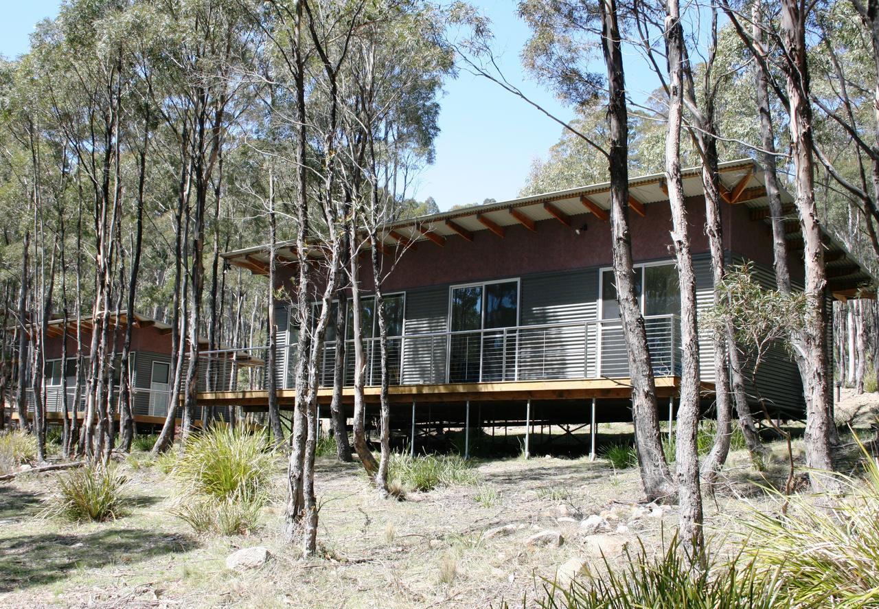 Craggy Peaks Wilderness Cabins Rossarden Exteriér fotografie