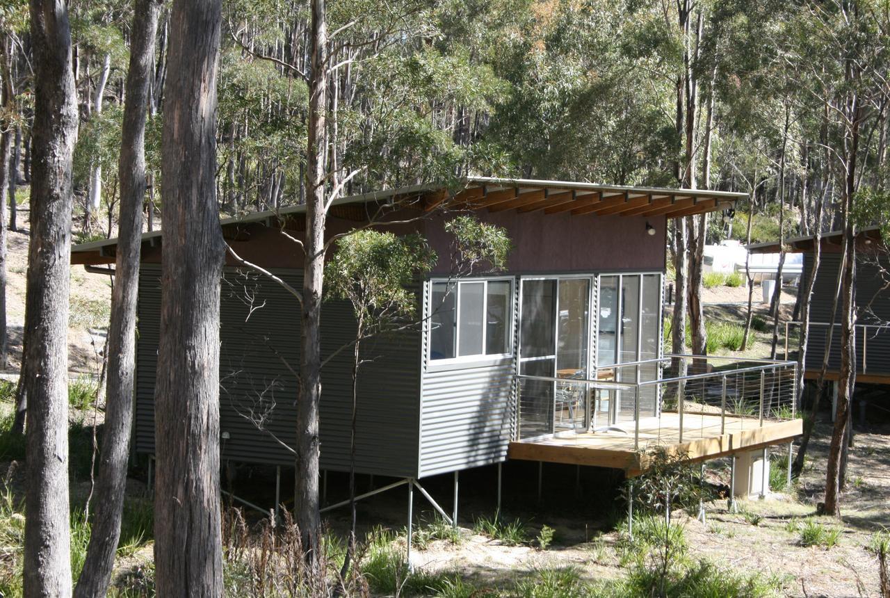 Craggy Peaks Wilderness Cabins Rossarden Exteriér fotografie