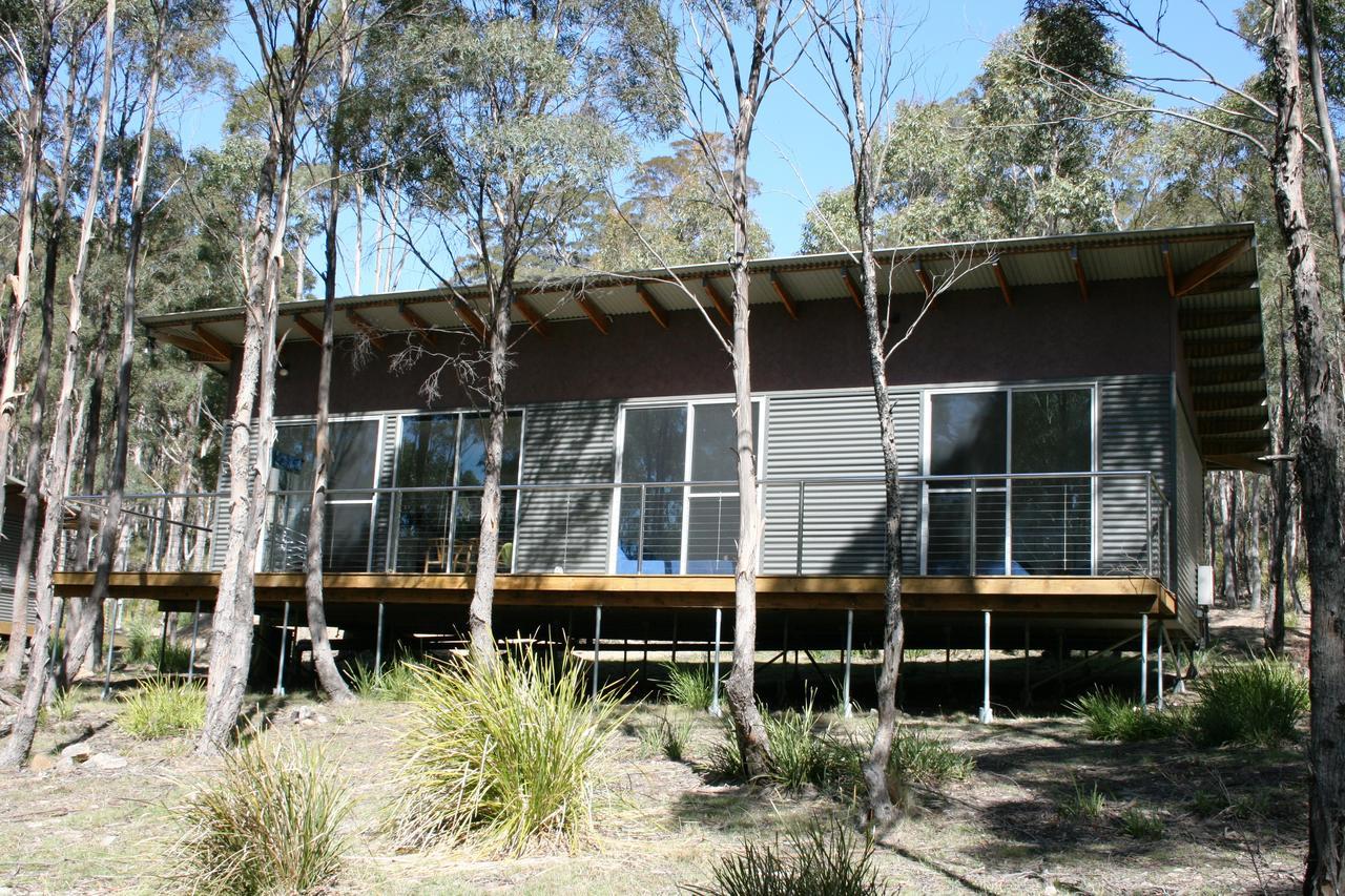 Craggy Peaks Wilderness Cabins Rossarden Exteriér fotografie