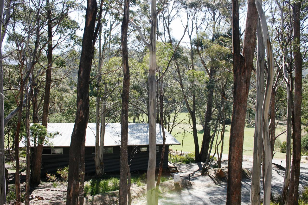 Craggy Peaks Wilderness Cabins Rossarden Exteriér fotografie