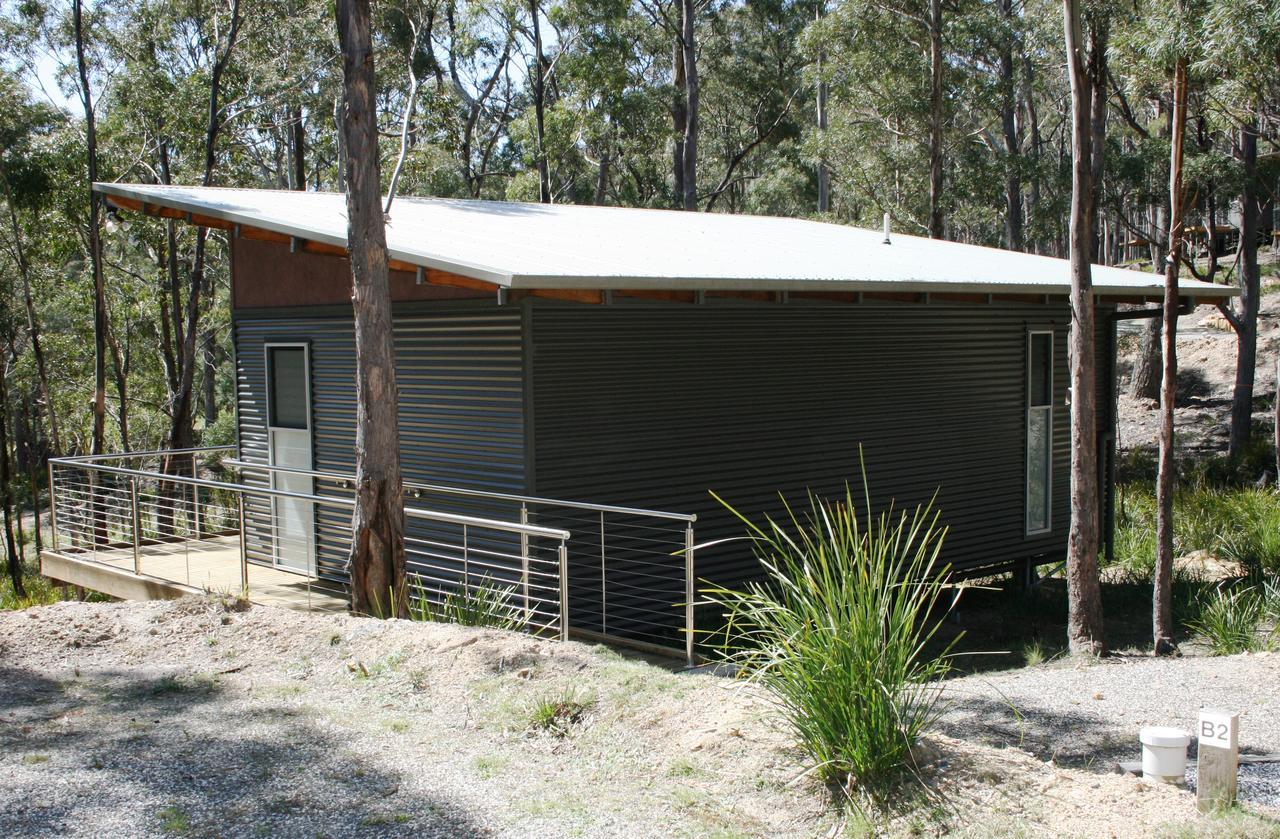 Craggy Peaks Wilderness Cabins Rossarden Exteriér fotografie