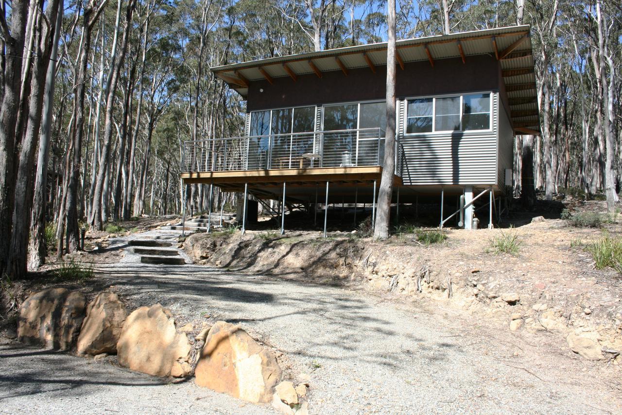 Craggy Peaks Wilderness Cabins Rossarden Exteriér fotografie